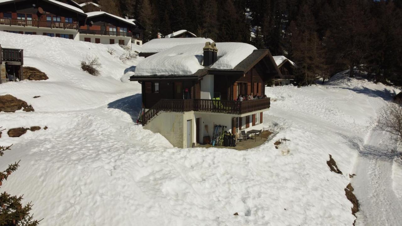 Chalet Foresta เบทท์เมอร์อัลพ์ ภายนอก รูปภาพ