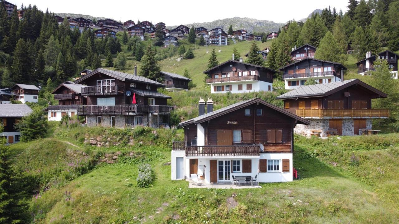 Chalet Foresta เบทท์เมอร์อัลพ์ ภายนอก รูปภาพ