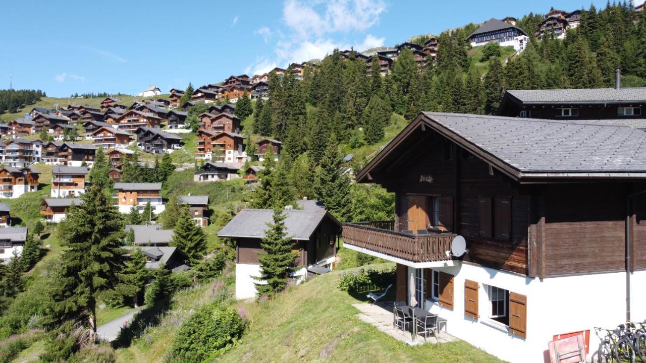Chalet Foresta เบทท์เมอร์อัลพ์ ภายนอก รูปภาพ