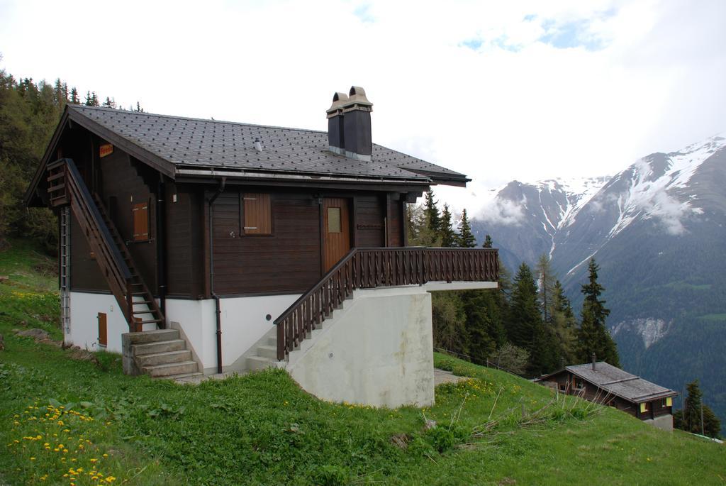 Chalet Foresta เบทท์เมอร์อัลพ์ ภายนอก รูปภาพ
