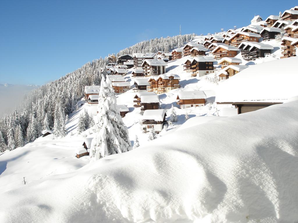 Chalet Foresta เบทท์เมอร์อัลพ์ ภายนอก รูปภาพ