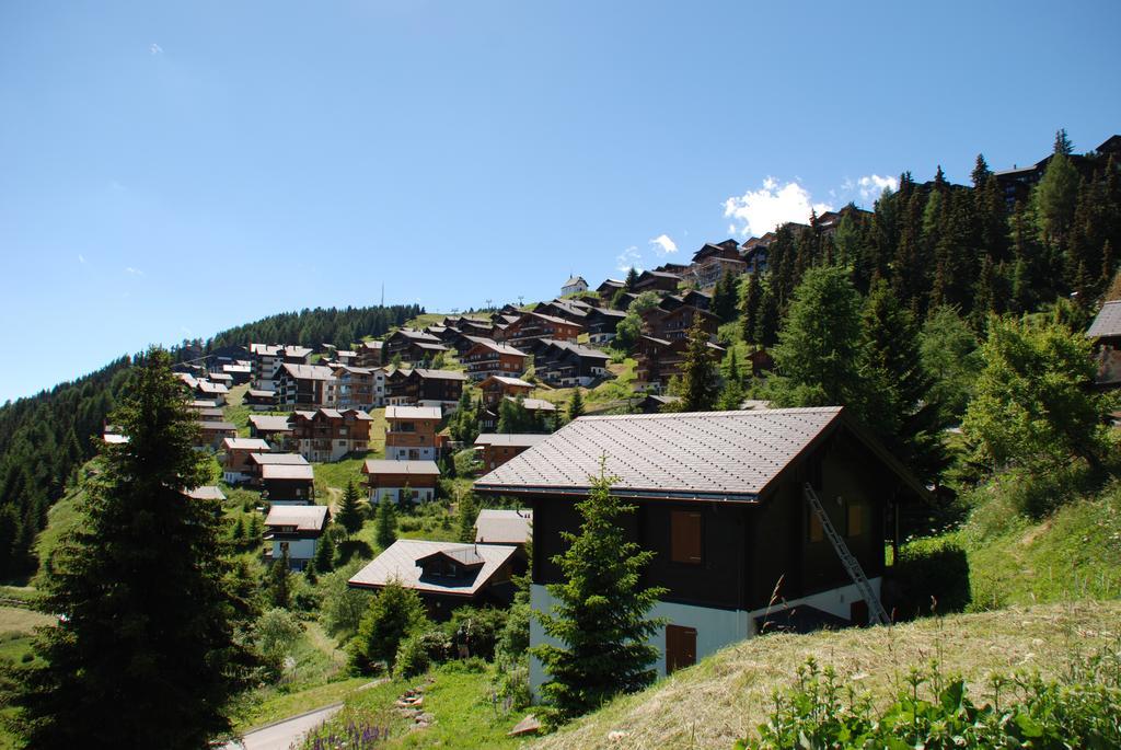 Chalet Foresta เบทท์เมอร์อัลพ์ ภายนอก รูปภาพ