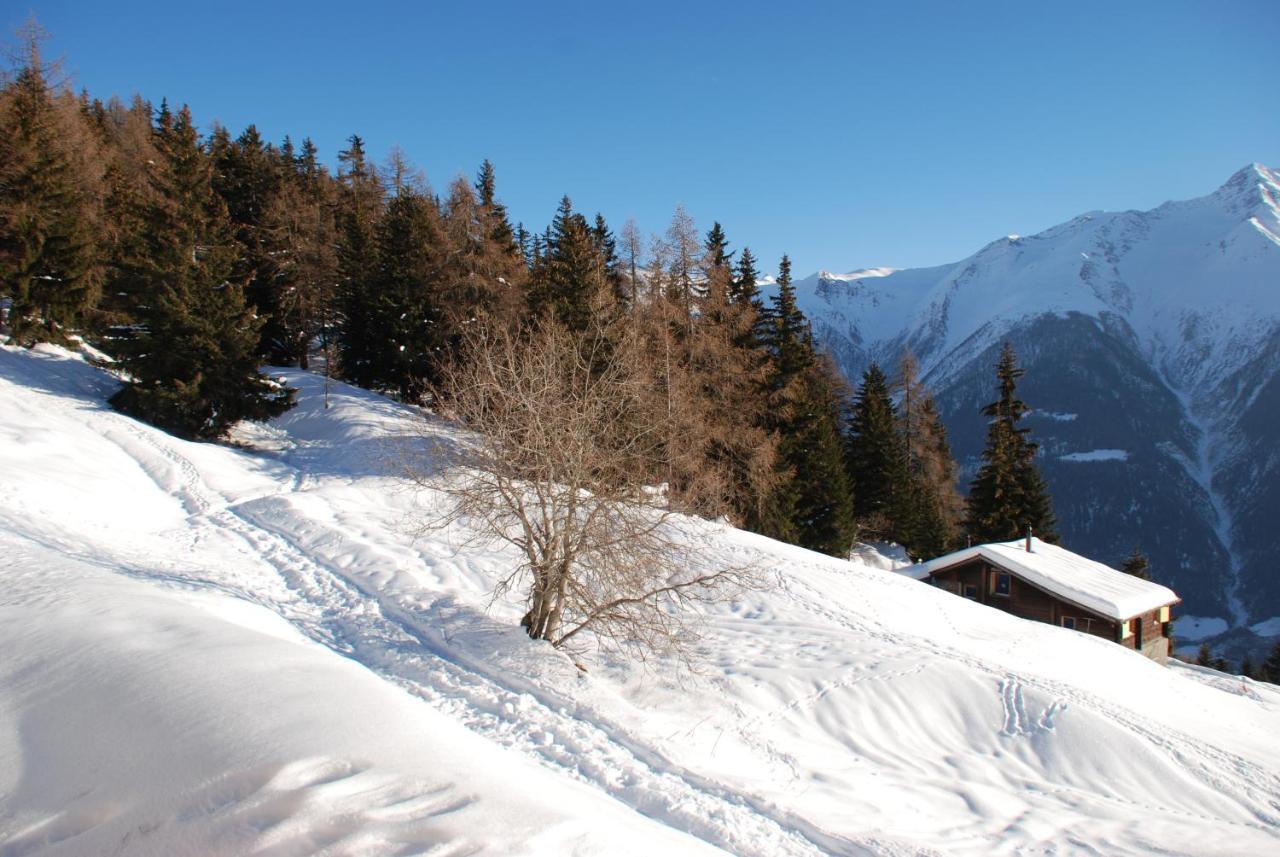 Chalet Foresta เบทท์เมอร์อัลพ์ ภายนอก รูปภาพ